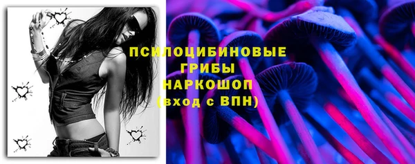 ПСИЛОЦИБИНОВЫЕ ГРИБЫ Армянск