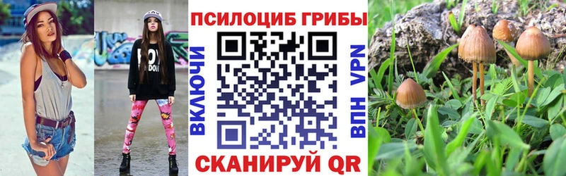omg зеркало  Аша  Псилоцибиновые грибы ЛСД  магазин продажи  